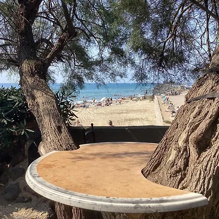 Front De Cap D'agde آجد